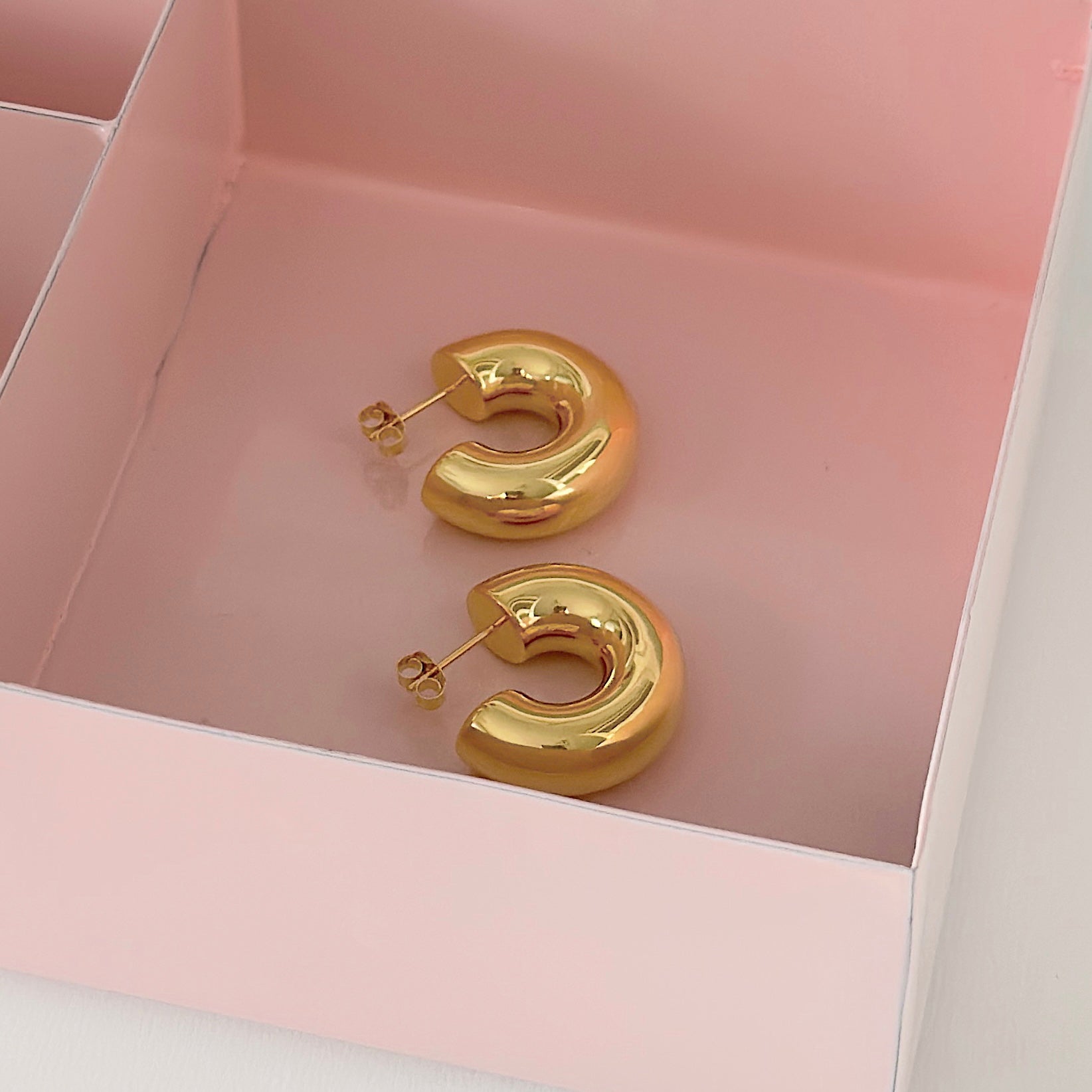 JODI HOOPS